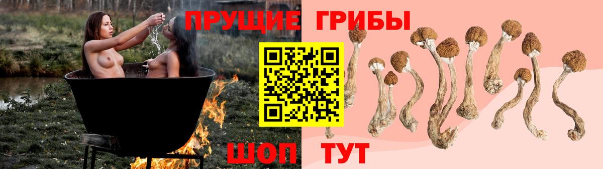 что такое наркотик  Галлюциногенные грибы GOLDEN TEACHER  Вход с VPN  Минусинск 